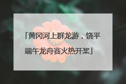 黄冈河上群龙游，饶平端午龙舟赛火热开桨