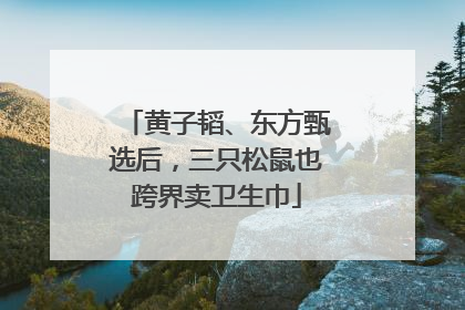 黄子韬、东方甄选后，三只松鼠也跨界卖卫生巾