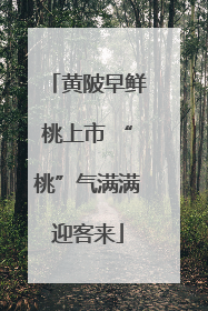 黄陂早鲜桃上市 “桃”气满满迎客来