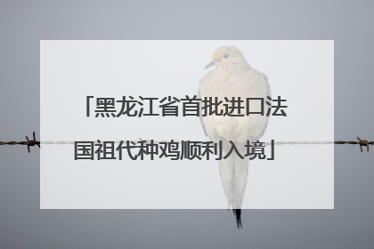 黑龙江省首批进口法国祖代种鸡顺利入境