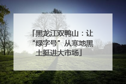 黑龙江双鸭山：让“绿字号”从寒地黑土挺进大市场