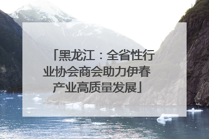 黑龙江：全省性行业协会商会助力伊春产业高质量发展