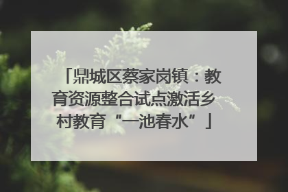 鼎城区蔡家岗镇：教育资源整合试点激活乡村教育“一池春水”