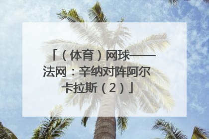 （体育）网球——法网：辛纳对阵阿尔卡拉斯（2）