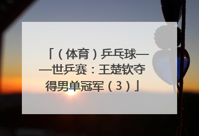 （体育）乒乓球——世乒赛：王楚钦夺得男单冠军（3）