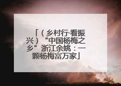 （乡村行·看振兴）“中国杨梅之乡”浙江余姚：一颗杨梅富万家