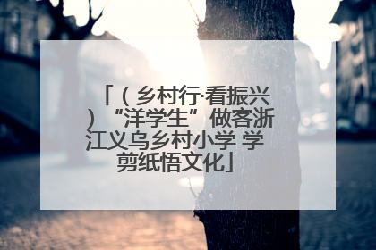 （乡村行·看振兴）“洋学生”做客浙江义乌乡村小学 学剪纸悟文化