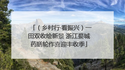 （乡村行·看振兴）一田双收绘新景 浙江婺城药膳轮作喜迎丰收季