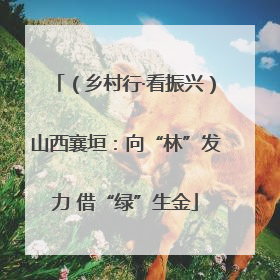 （乡村行·看振兴）山西襄垣：向“林”发力 借“绿”生金