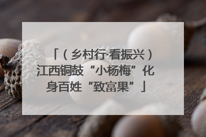 （乡村行·看振兴）江西铜鼓“小杨梅”化身百姓“致富果”