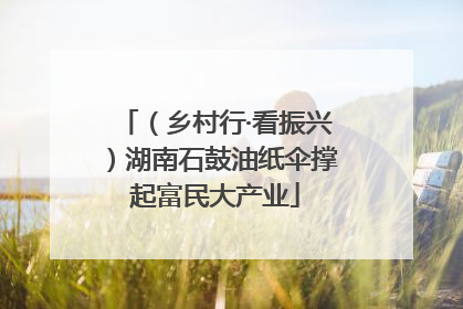 （乡村行·看振兴）湖南石鼓油纸伞撑起富民大产业