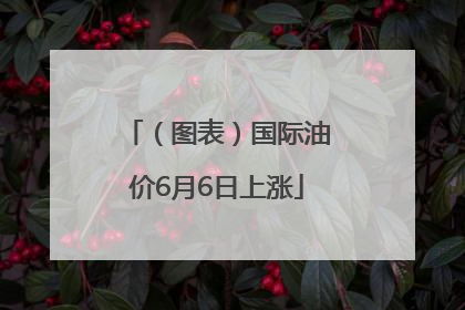（图表）国际油价6月6日上涨