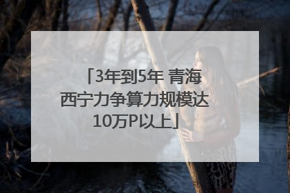 3年到5年 青海西宁力争算力规模达10万P以上