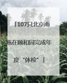 107只北京雨燕在颐和园完成年度“体检”