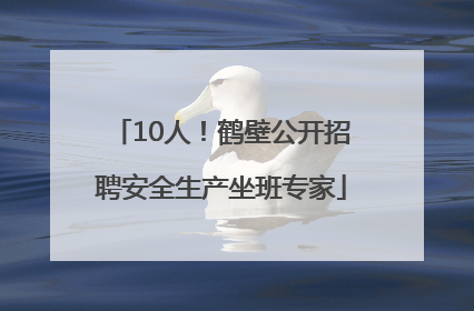 10人！鹤壁公开招聘安全生产坐班专家