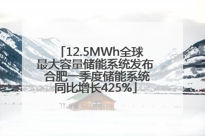12.5MWh全球最大容量储能系统发布 合肥一季度储能系统同比增长425%