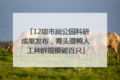 12项市属公园科研成果发布，青头潜鸭人工种群规模破百只