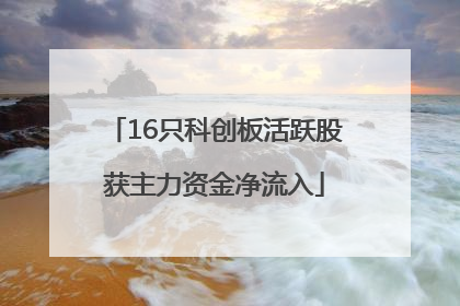 16只科创板活跃股获主力资金净流入