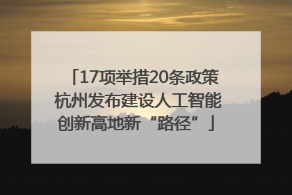 17项举措20条政策 杭州发布建设人工智能创新高地新“路径”