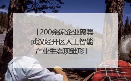 200余家企业聚集 武汉经开区人工智能产业生态现雏形