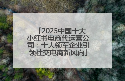 2025中国十大小红书电商代运营公司：十大领军企业引领社交电商新风向
