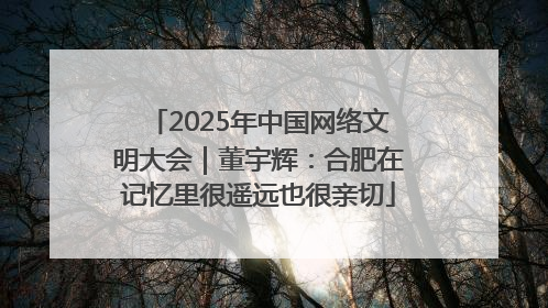 2025年中国网络文明大会｜董宇辉：合肥在记忆里很遥远也很亲切