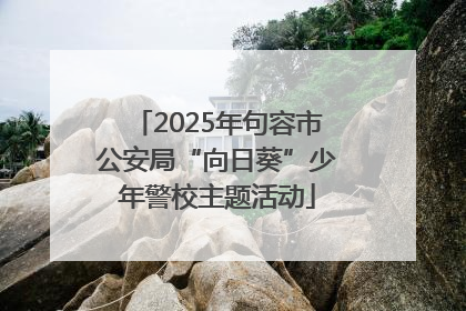 2025年句容市公安局“向日葵”少年警校主题活动