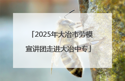 2025年大冶市劳模宣讲团走进大冶中专