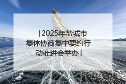 2025年盐城市集体协商集中要约行动推进会举办