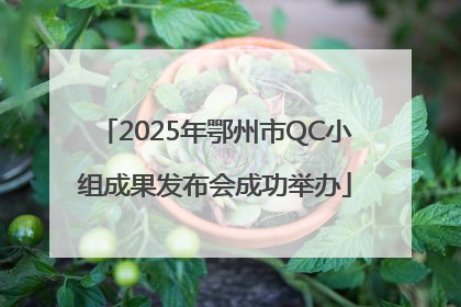 2025年鄂州市QC小组成果发布会成功举办