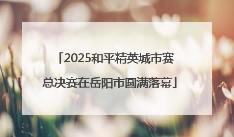 2025和平精英城市赛总决赛在岳阳市圆满落幕
