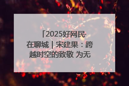 2025好网民·在聊城｜宋建果：跨越时空的致敬 为无名烈士“正名”