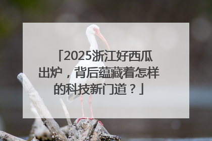 2025浙江好西瓜出炉，背后蕴藏着怎样的科技新门道？