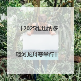 2025维也纳多瑙河龙舟赛举行