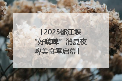 2025都江堰“好嗨啤”消夏夜啤美食季启幕