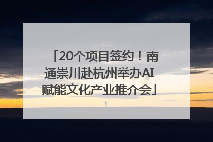 20个项目签约！南通崇川赴杭州举办AI赋能文化产业推介会