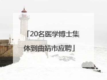 20名医学博士集体到曲靖市应聘
