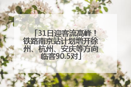31日迎客流高峰！铁路南京站计划增开徐州、杭州、安庆等方向临客90.5对