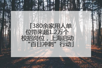 380余家用人单位带来超1.2万个校招岗位，上海启动“百日冲刺”行动