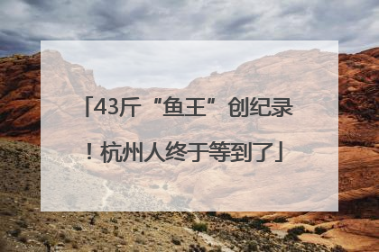 43斤“鱼王”创纪录！杭州人终于等到了