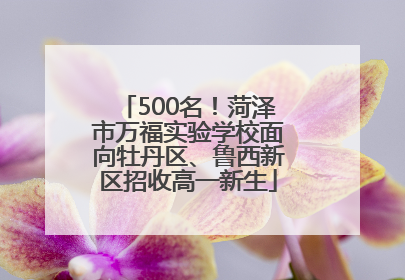 500名！菏泽市万福实验学校面向牡丹区、鲁西新区招收高一新生