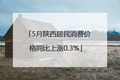 5月陕西居民消费价格同比上涨0.3%