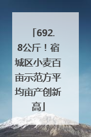 692.8公斤！宿城区小麦百亩示范方平均亩产创新高