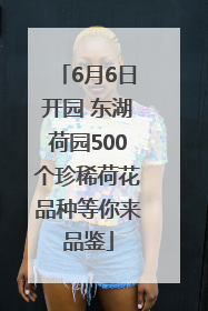 6月6日开园 东湖荷园500个珍稀荷花品种等你来品鉴