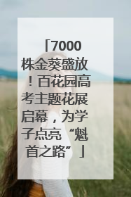 7000株金葵盛放！百花园高考主题花展启幕，为学子点亮“魁首之路”