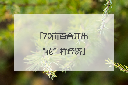 70亩百合开出“花”样经济
