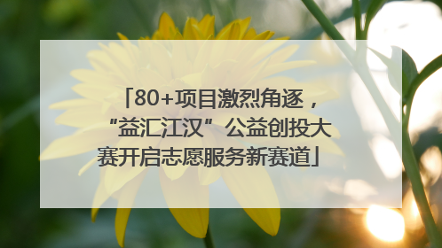 80+项目激烈角逐，“益汇江汉”公益创投大赛开启志愿服务新赛道