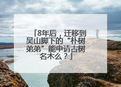 8年后，迁移到吴山脚下的“朴树弟弟”能申请古树名木么？