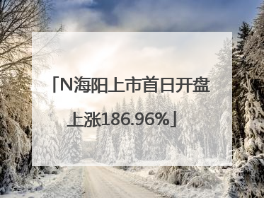N海阳上市首日开盘上涨186.96%